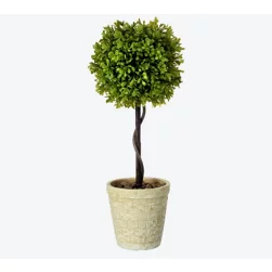 sq3 s6 BrandAwareness ap 20230605