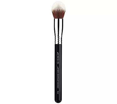 17948-sigma-beauty-f79-concealer-blend-kabuki-brush-1.webp