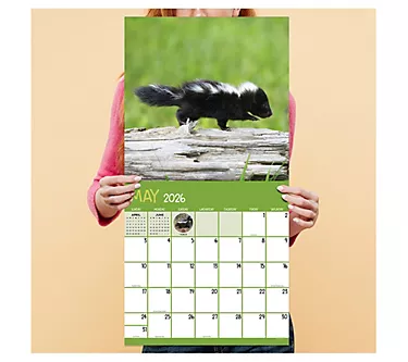 TF Publishing Wall Calendar