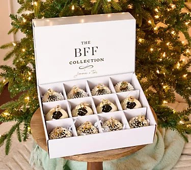 BFF Collection Set of 12 Metallic Glass Ornaments with Gift Box