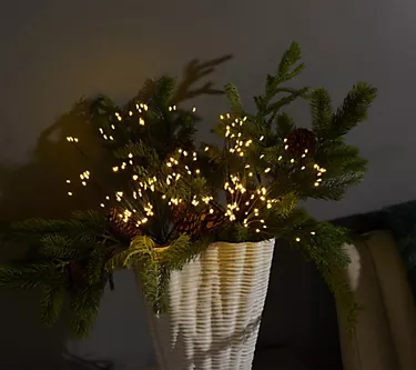 Bethlehem Lights (2) Star Bursts with Remote - Black Wire