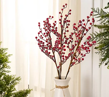 Set of 3 30" Illuminated Sugared Berry Branches by Valerie