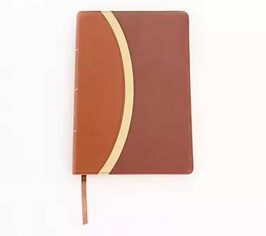 CSB Rainbow Study Bible w/ Color Coded Verses & 30 Devotions