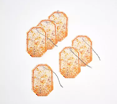 HomeWorx by Slatkin + Co. S/6 Hanging Auto Air Fresheners