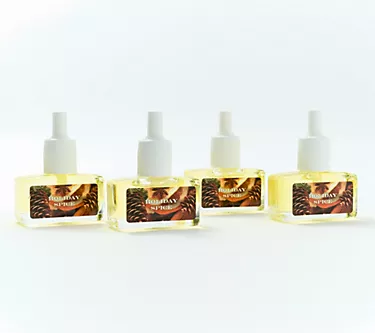 HomeWorx by Slatkin + Co. Set of 4 Holiday Spice Diffuser Oils