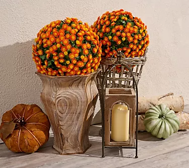 "As" Is" Wicker Park Set of 2 Oversized Harvest Faux Mum Spheres