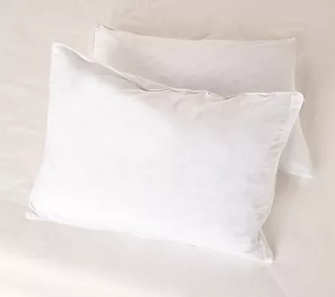 367513–as-is-northern-nights-set-of-2-tencel-spandex-pillow-protectors-1.webp