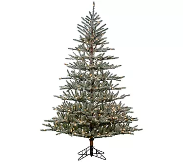 7' Flocked Scotch Pine with 450 Lights by Gerson Co.