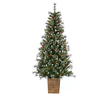 368011-6-h-potted-hard-mixed-needle-glazier-pine-by-sterling-co-1.webp