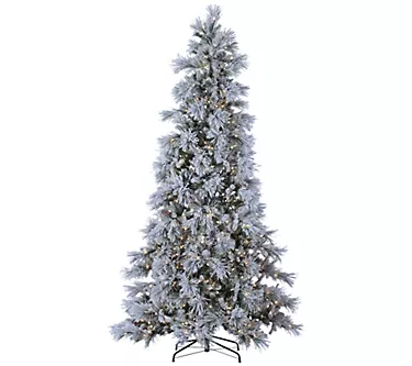 9' Pre-Lit Lightly Flocked Snowbell Pine with 900 lights