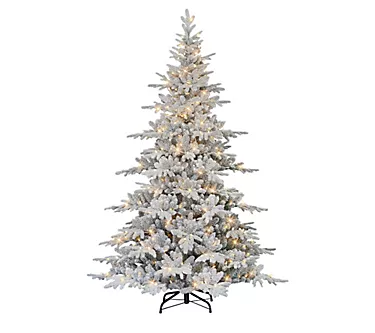 368117-puleo-international-7-pre-lit-flocked-utah-firtree-1.webp