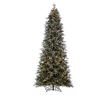 Vickerman 9' Frosted Douglas Fir Artificial Slim Pre-Lit Tree 1 368177-vickerman-9-frosted-douglas-fir-artificial-slim-pre-lit-tree-1.webp
