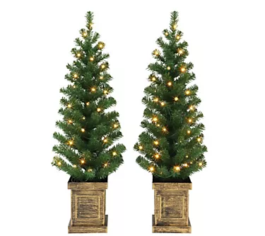 Puleo Set of 2, 3.5' B/O Potted Prelit Trees, 90 Tips 1 368274-puleo-set-of-2-3-5-b-o-potted-prelit-trees-90-tips-1.webp