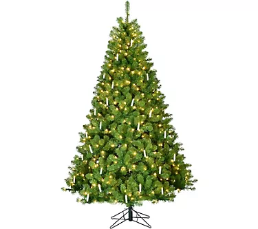 368410-fraser-hill-farm-7-5-vintage-christmas-tree-with-candles-1.webp