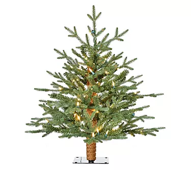 Fraser Hill Farm 2-Ft. Green Alpine Porch Accent Tree