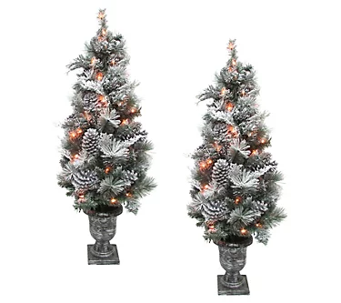 368671-fraser-hill-farm-4-christmas-pre-lit-snow-flocked-porch-tree-1.webp