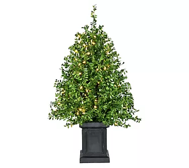Fraser Hill Farm 2-Ft. Boxwood Porch Tree in Pot 1 368693-fraser-hill-farm-2-ft-boxwood-porch-tree-in-pot-1.webp