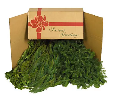 10-lb Box of Mixed Greens By Valerie Del. 11/24 1 368741-10-lb-box-of-mixed-greens-by-valerie-del-11-24-1.webp