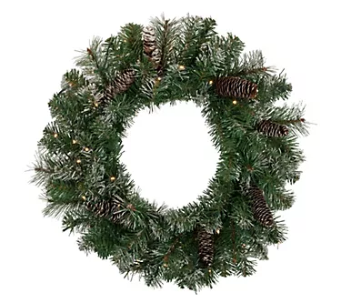 Northlight Prelit B/O Christmas Wreath 24" LEDLights