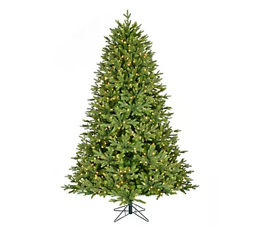 Fraser Hill Farm 8-ft. Wintergreen Fir Pre-LitArtificial Tree