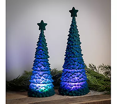 369274-evergreen-set-of-2-lighted-flocked-tree-with-star-table-decor-1.webp