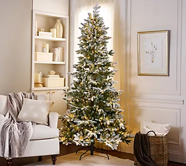 369289-9-twinkling-snow-kissed-spruce-tree-by-valerie-1.webp