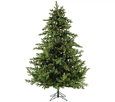 Fraser Hill Farm 10-Ft. Foxtail Pine Christmas Tree