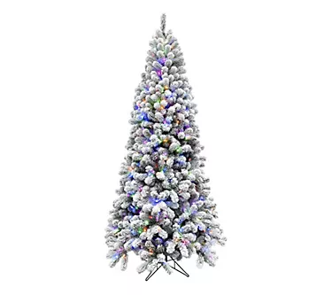 Fraser Hill Farm 12-Ft. Flocked Alaskan Pine Christmas Tree w