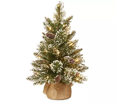 National Tree Co. 2' Glittery Pine Tree