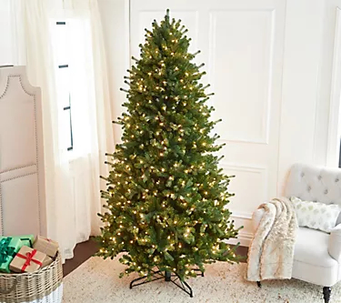 Bethlehem Lights 9' Farm Fresh Incandescent Tree 1 370279-bethlehem-lights-9-farm-fresh-incandescent-tree-1.webp