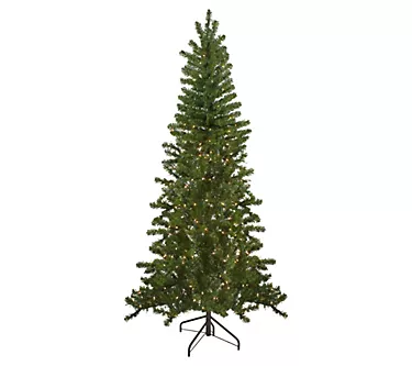 Northlight 7.5' Canadian Pine Christmas Wall Tre-Clear Lights