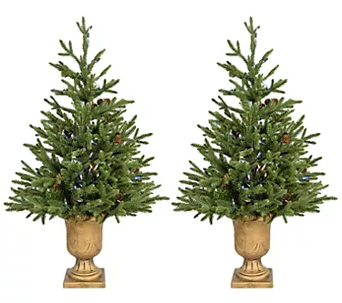 Fraser Hill Farm Set of Two 3 Ft. Noble Fir Art ificial Trees