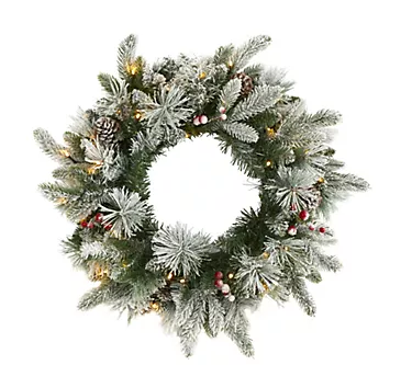 20" Lit Flocked Mixed Pine Christmas Wreath byearly Natural