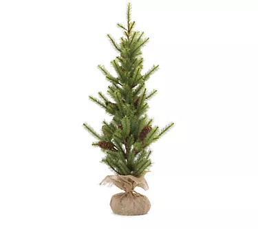 Melrose Pine Tree with Burlap Base 3'H