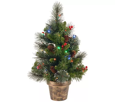 National Tree Company Batt. Op. 2' Spruce w/ Multi Lights 1 370951-national-tree-company-batt-op-2-spruce-w-multi-lights-1.webp
