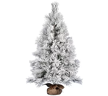 Vickerman 48" Frosted Beckett Pine Tree