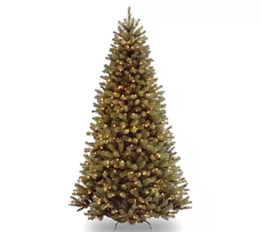 6.5' North Valley Spruce Tree with Clear Lights