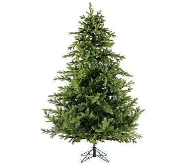 371289-fraser-hill-farm-9-foxtail-pine-christmas-tree-1.webp