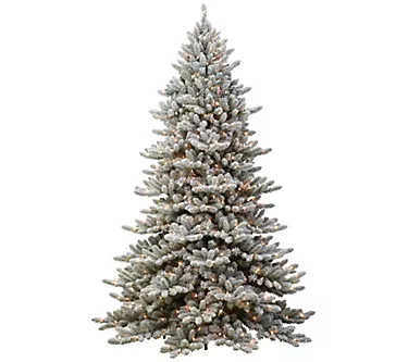 6.5' Pre-Lit Flocked Royal Majestic ArtificialFrase Fir Tre