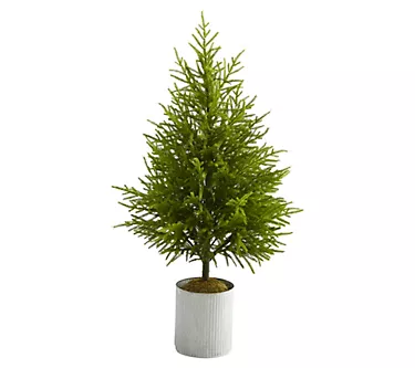 Nearly Natural 49" Norfolk Island Pine Naturalook Tree 1 371671-nearly-natural-49-norfolk-island-pine-naturalook-tree-1.webp