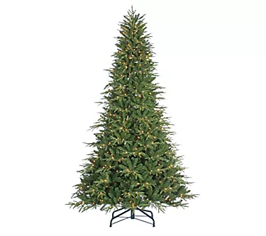 9' Prelit Nat Cut Frasier Fir with 1000 Lights by Sterling Co