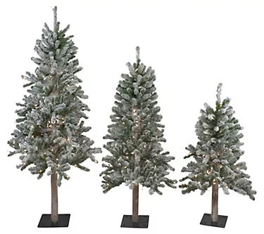 Northlight Set of 3 Flocked Alpine Trees 5' - Clear Lights
