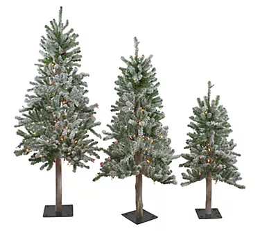 371835-northlight-set-of-3-flocked-alpine-christmas-trees-unlit-1.webp