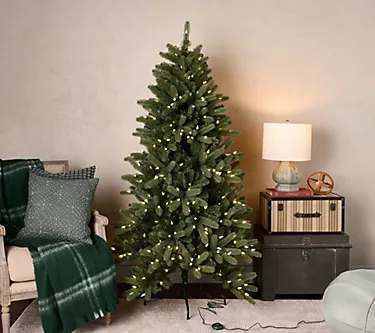 Home Reflections 6' LED Colorado Spruce w/ Remote