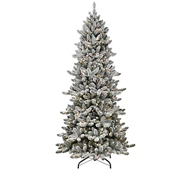 371934-puleo-6-5-pre-lit-slim-flocked-royal-majesticspruce-tree-1.webp