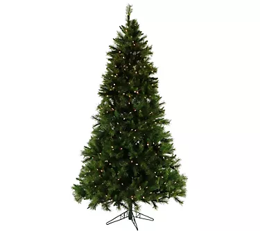 Christmas Time 6.5' Pennsylvania Pine Clear Prelit Tree