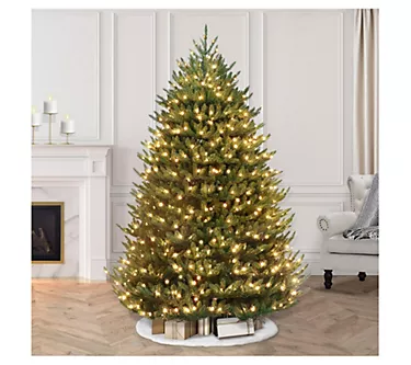 372037-puleo-international-6-5-prelit-canadian-balsamfir-tree-1.webp
