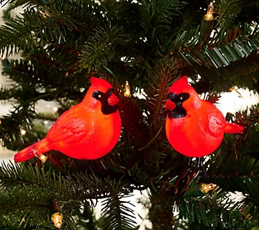 Bethlehem Lights S/2 Illuminated Cardinal Tree Clips 1 372067-bethlehem-lights-s-2-illuminated-cardinal-tree-clips-1.webp