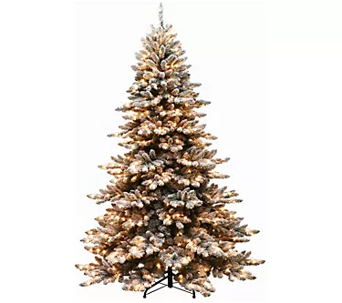 6.5' Royal Majestic Spruce Green Tree Flocked 500 Clear Light 1 372246-6-5-royal-majestic-spruce-green-tree-flocked-500-clear-light-1.webp