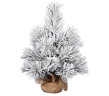 Vickerman 24" Frosted Beckett Pine Tree